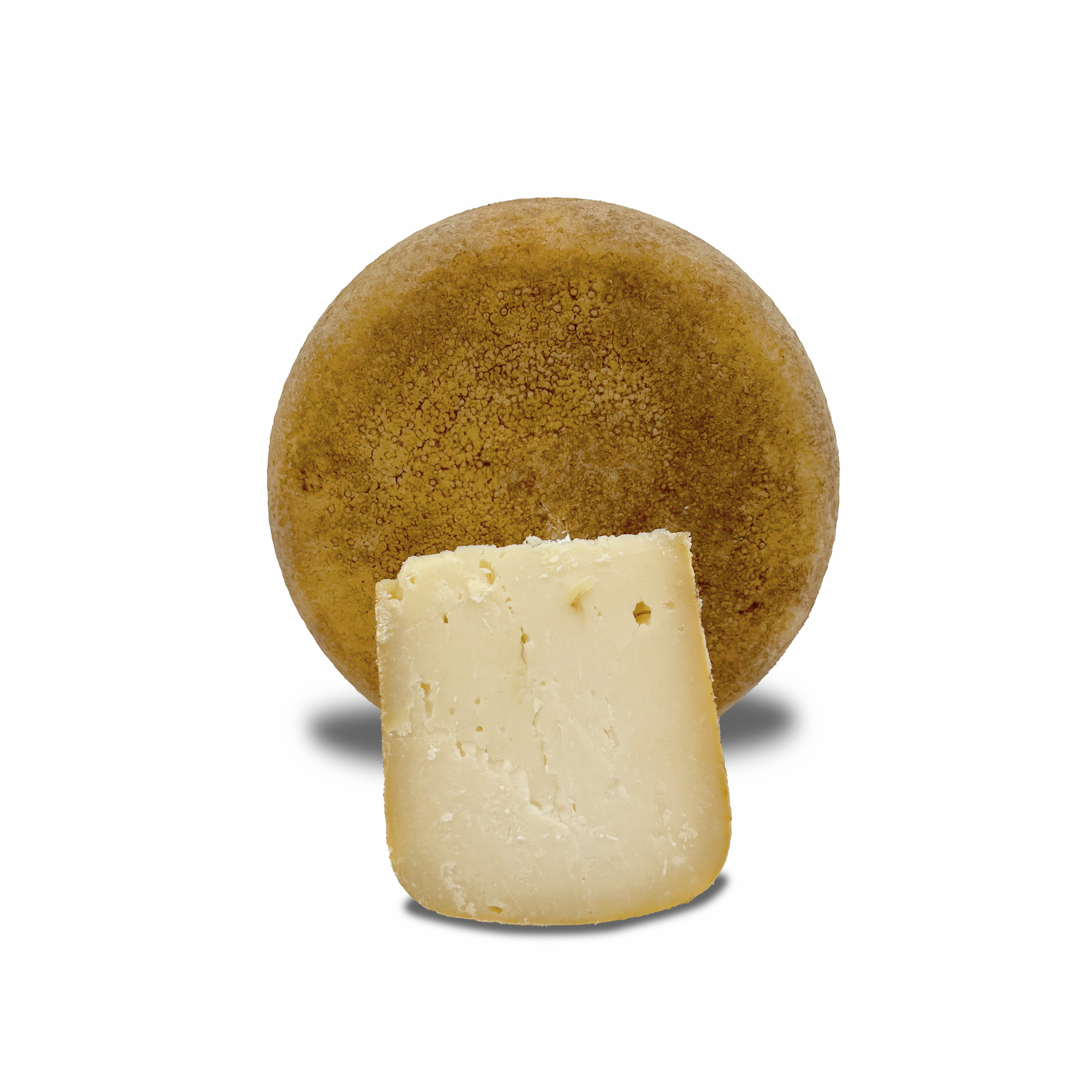 Pecorino All’olio Stagionato a Latte Crudo